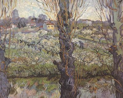 Vincent Van Gogh Orchard in Blossom with View of Arles (nn04) oil painting picture